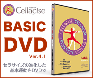 basic DVD特別価格は1月末で終了